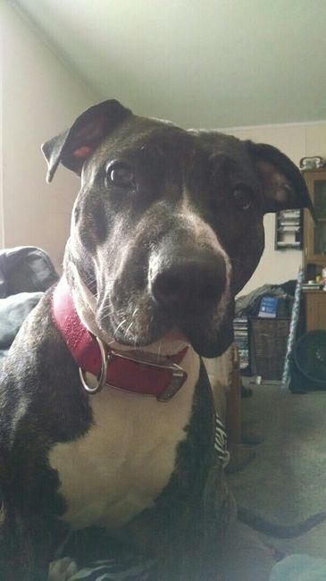 NWR: post pics of your pets!!