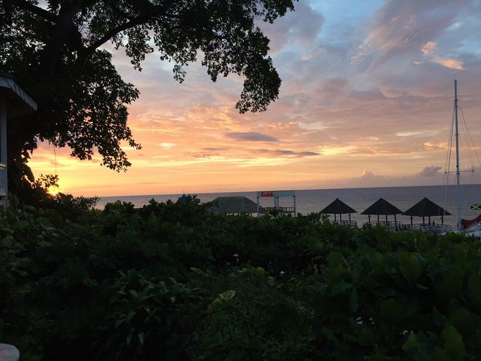 BAM and Honeymooned!