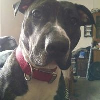 NWR: post pics of your pets!!