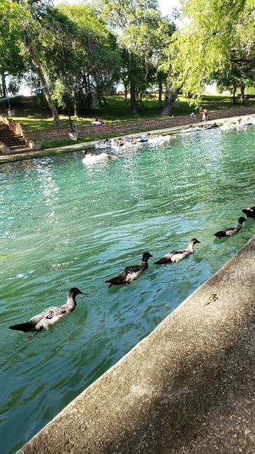 Honeymoon Ideas in Texas? 1