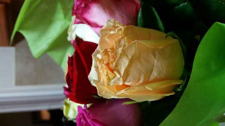 Alternatives to flowers?