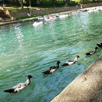 Honeymoon Ideas in Texas? - 1