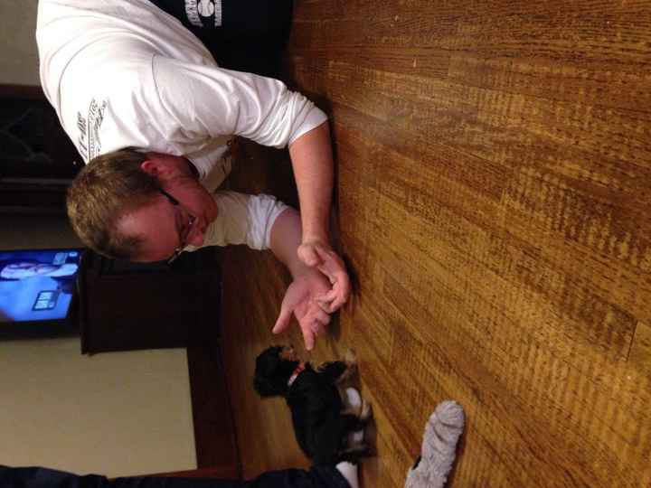 NWR- I have a puppy!!!!!