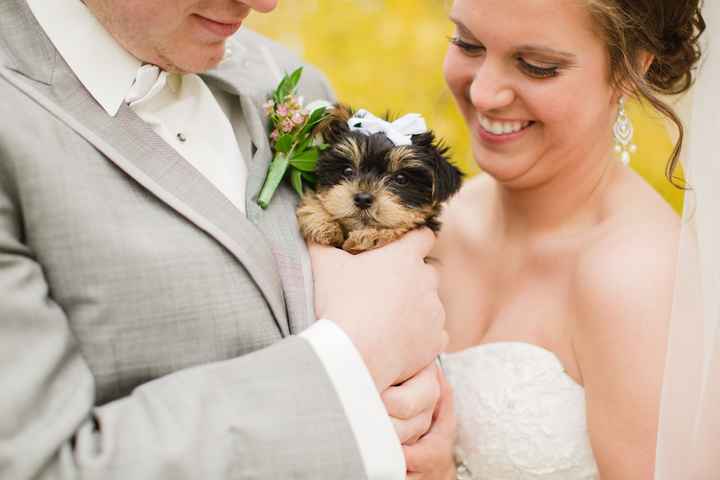 Official BAM - Finally got my pics!