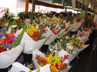 Show me your flowers! **Pics**