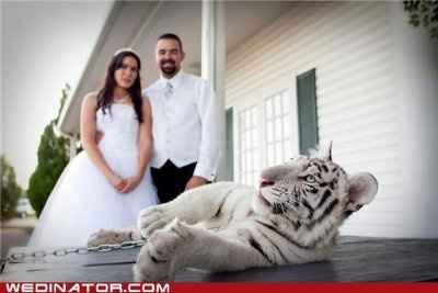 WANT! how cool would this be! yes please.