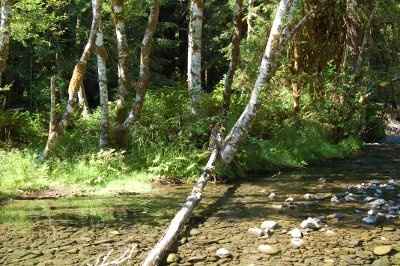 My Invite Design. Opions please!