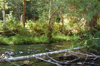 My Invite Design. Opions please!