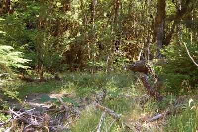 My Invite Design. Opions please!