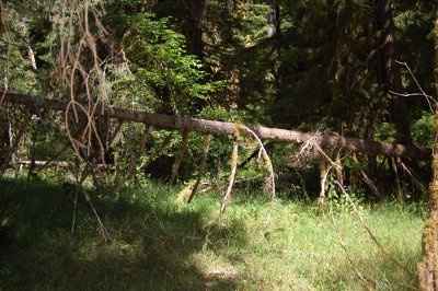 My Invite Design. Opions please!