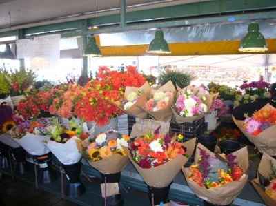 Show me your flowers! **Pics**