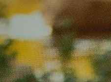 NWR- Which website is best to make custom photo books?