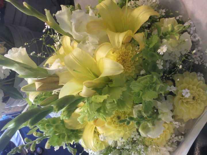 What do they look like....???