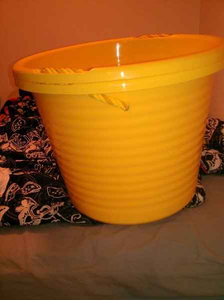 Got some stuff done to make myself feel better- what have you gotten done recently?