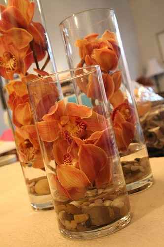 How to make the fall theme work
