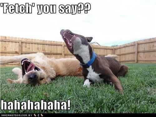 NWR: Just some laughs to get through the middle of the week!