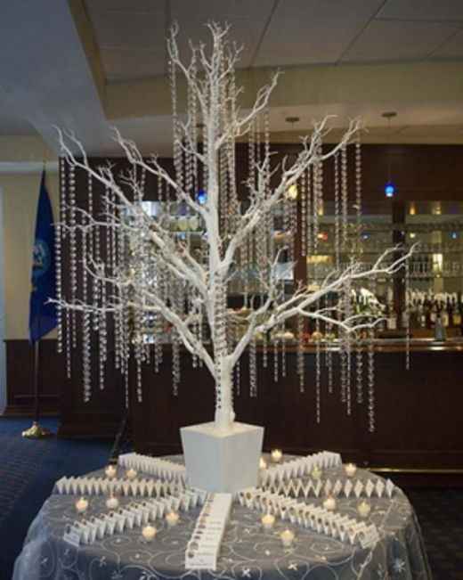 Winter Wedding. Need help! :(