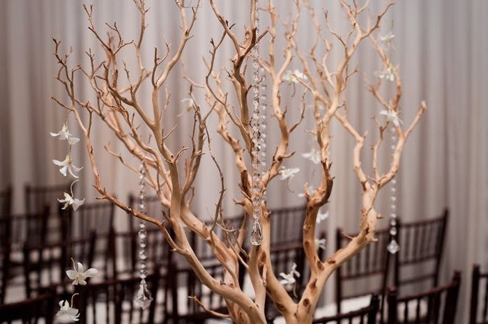 Winter Wedding. Need help! :(