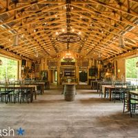 Bridesmaid dresses decision - 3