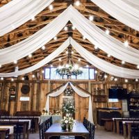 Bridesmaid dresses decision - 1