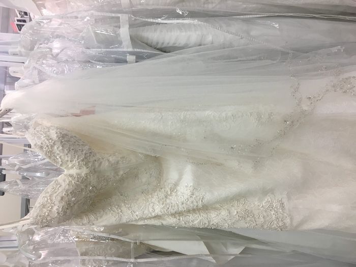 Bonus Dress Pic!