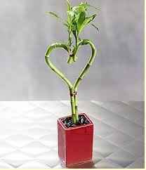 Wedding favors: Yes or no?