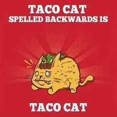 Stop hiding your posts and thinking the ground beef tacos are acceptable.