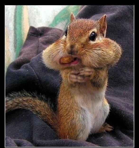 As much as I love him, he's making me crazy!