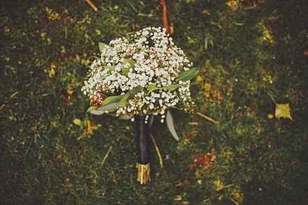 Update: More photos PG. 2 BAM!!!!! or as those snarky chickens like to call it......Bitch and Moan