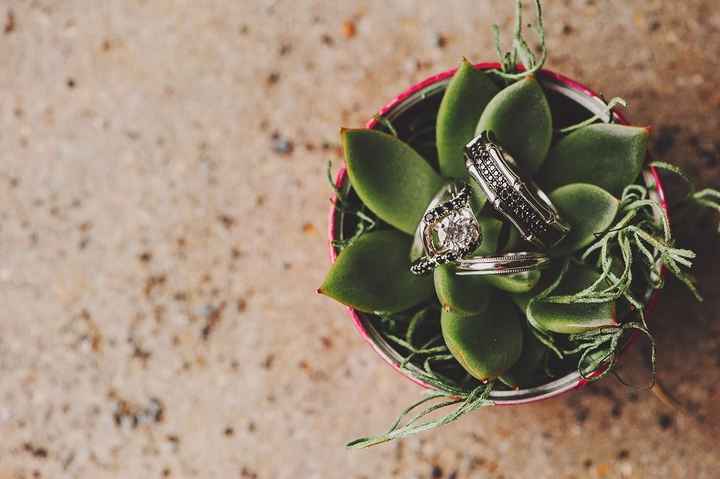 Update: More photos PG. 2 BAM!!!!! or as those snarky chickens like to call it......Bitch and Moan