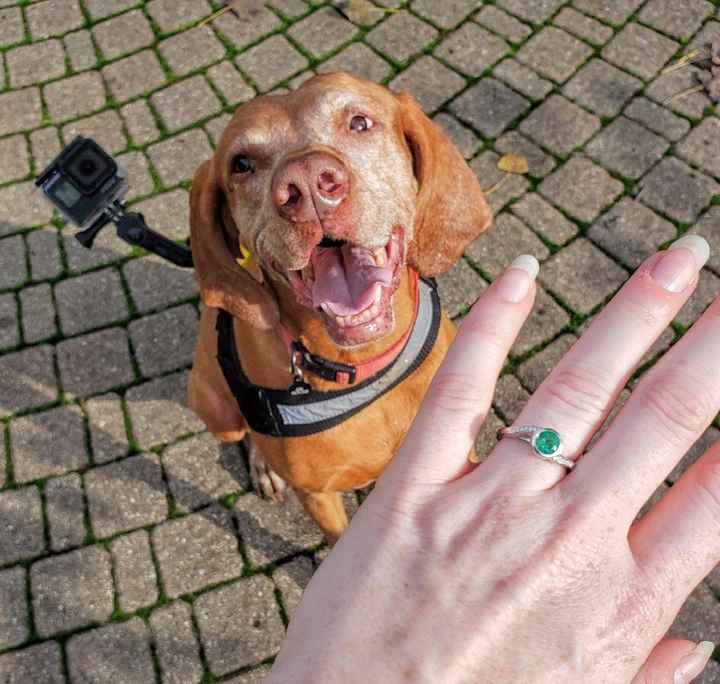 Brides of 2020!  Show us your ring! - 1