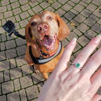 Brides of 2020!  Show us your ring! - 1
