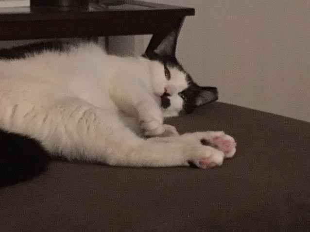 Nwr: litter box problems