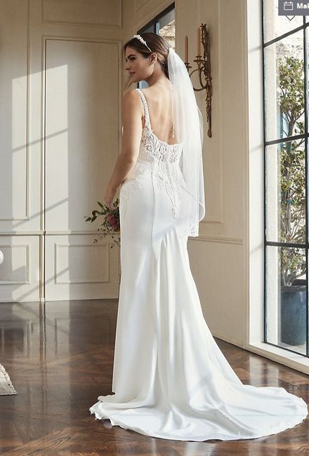 back of the dress