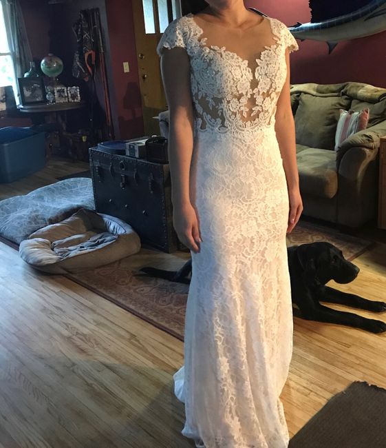 Dress Help! Please post your gowns!! 21