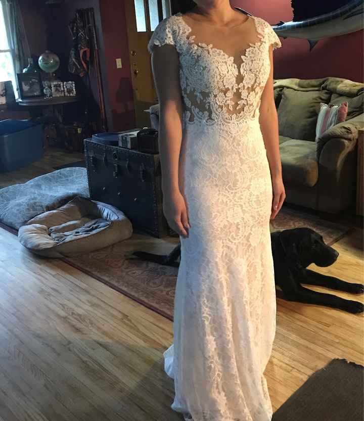 a dress not like the others... - 1