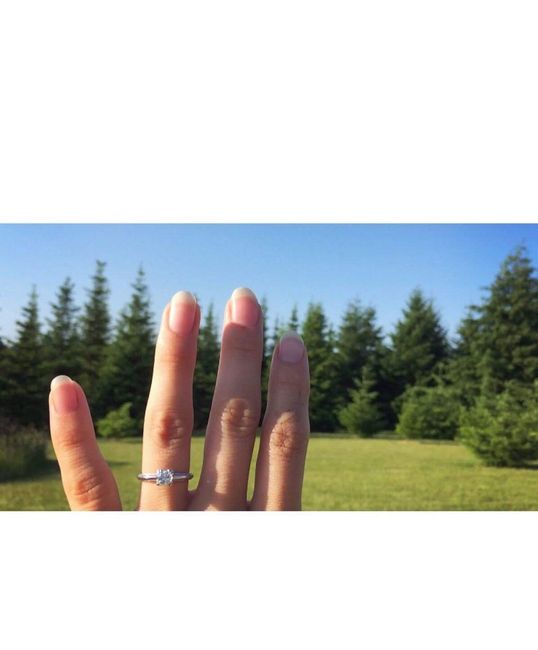 Planning Milestones - What's your wedding date?  1