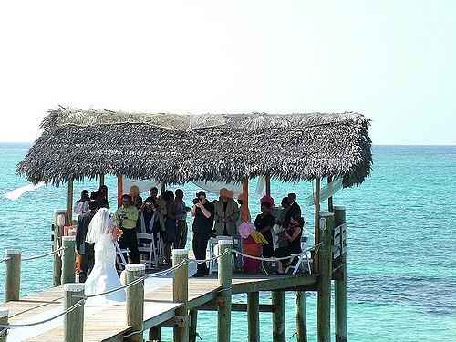 Trying to cut back , opinions  or suggestions needed