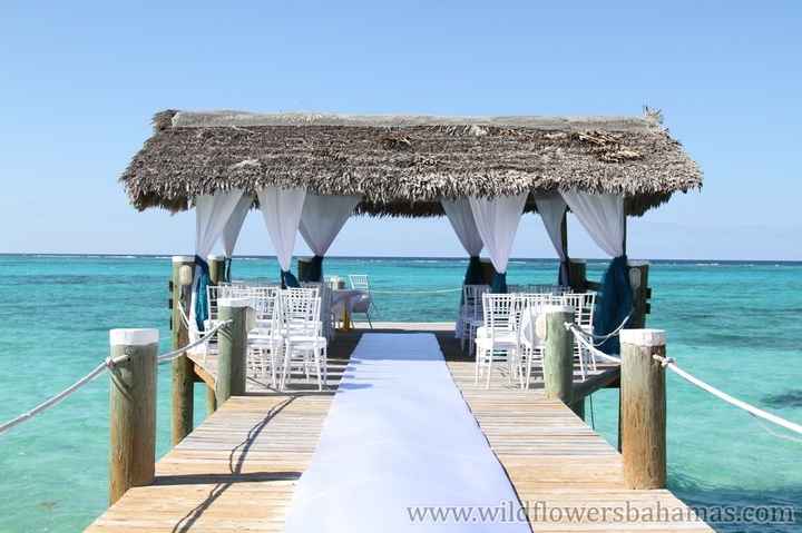 Trying to cut back , opinions  or suggestions needed