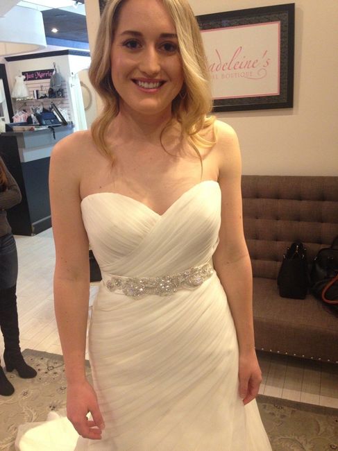 My Dress!! Pics and question