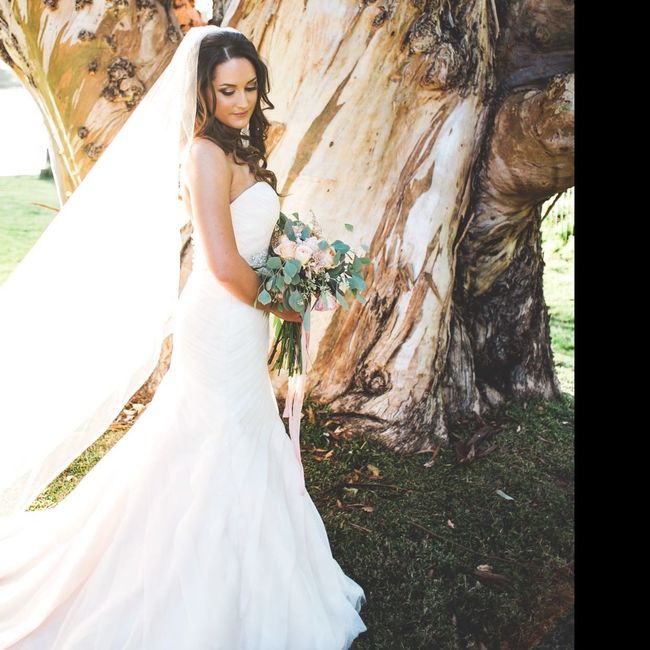 Pro BAM! 10.7.17 wedding