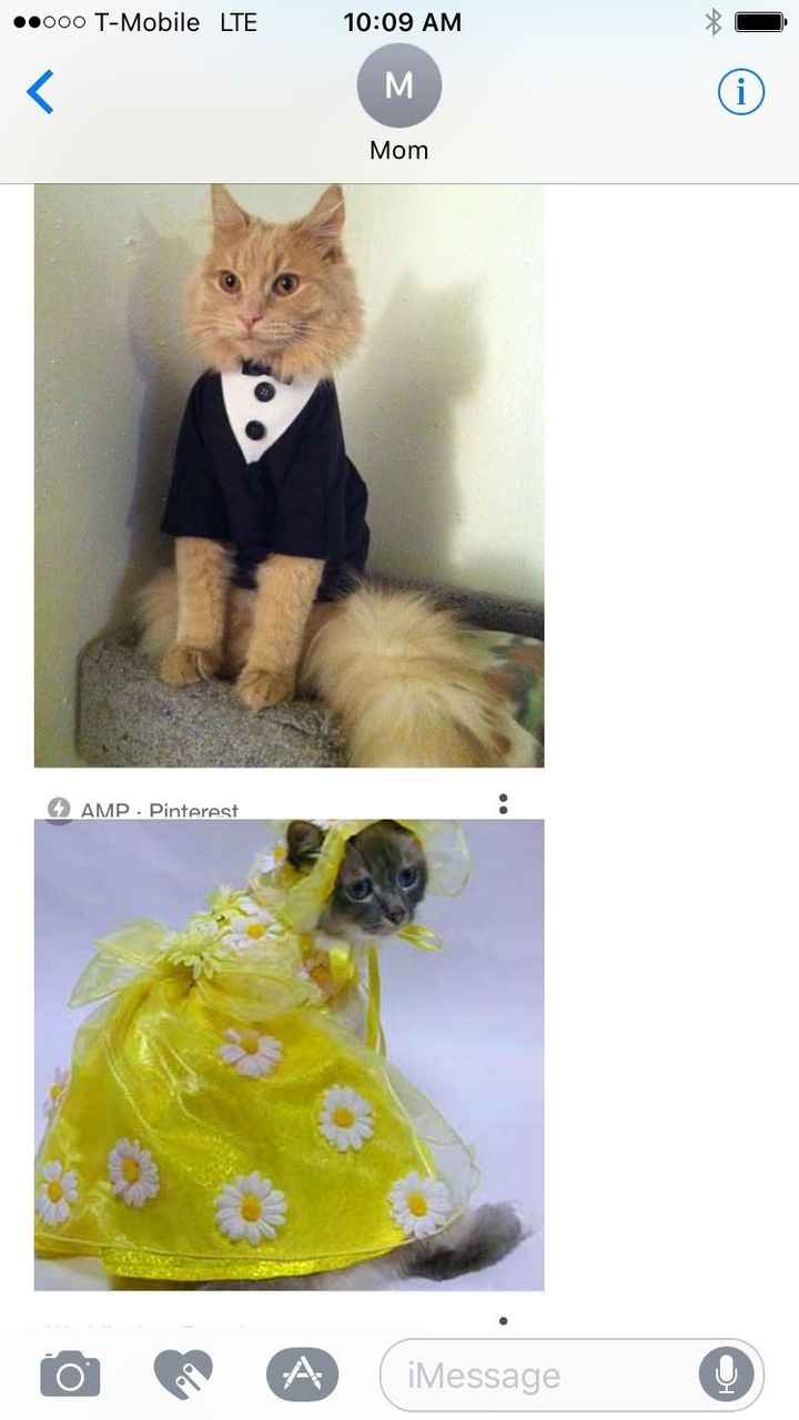 A Little Tuesday Humor