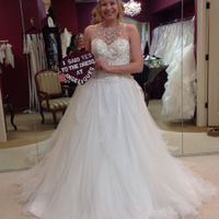 So In Love with THE Dress!