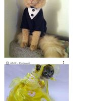 A Little Tuesday Humor