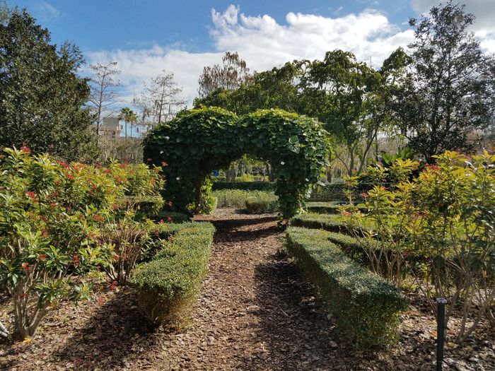 What does your ceremony aisle look like?