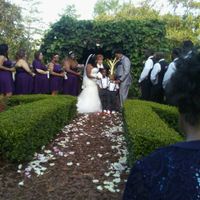 HardRockin' BAM (non-pro)