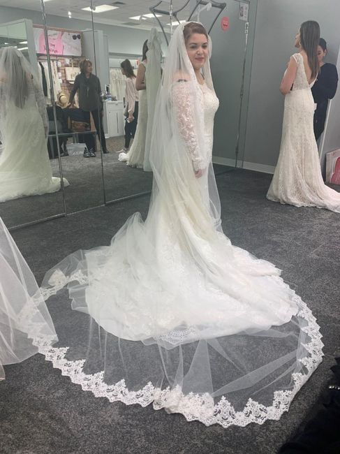 White or Ivory - 1