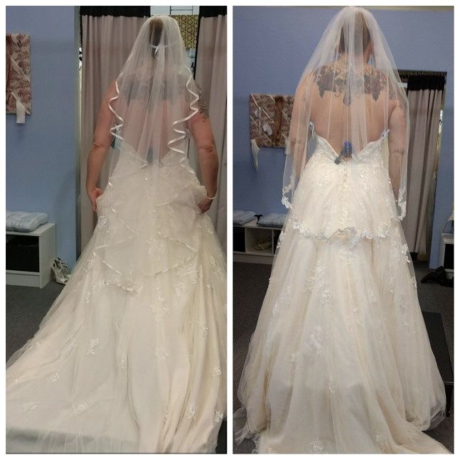 Quick veil poll....