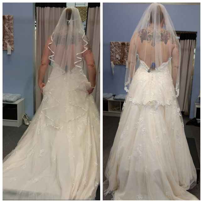 Quick veil poll....
