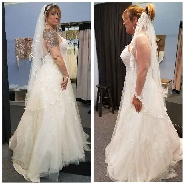 Quick veil poll....
